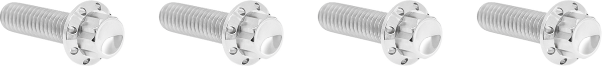 Arlen NESS Bolt Kit - Transmission Top Cover - 12-Point - Titanium - Polished