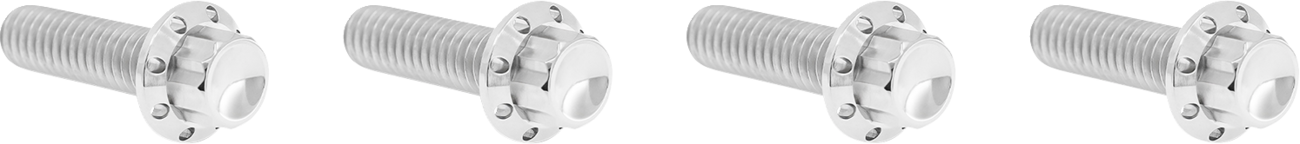 Arlen NESS Bolt Kit - Transmission Top Cover - 12-Point - Titanium - Polished
