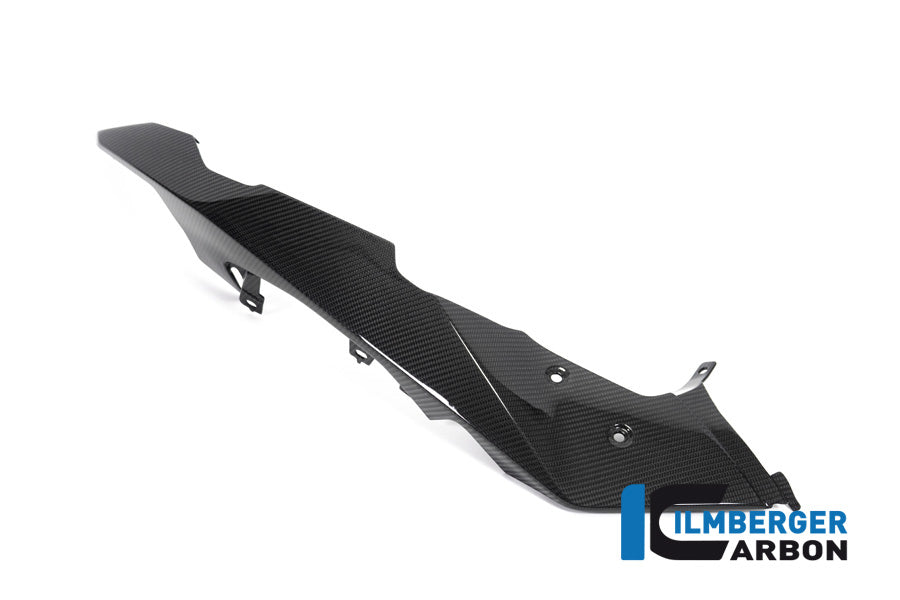 Ilmberger Carbon Front Beak / Upper Mudguard Left Side BMW R 1250 GS Adventure From 2019