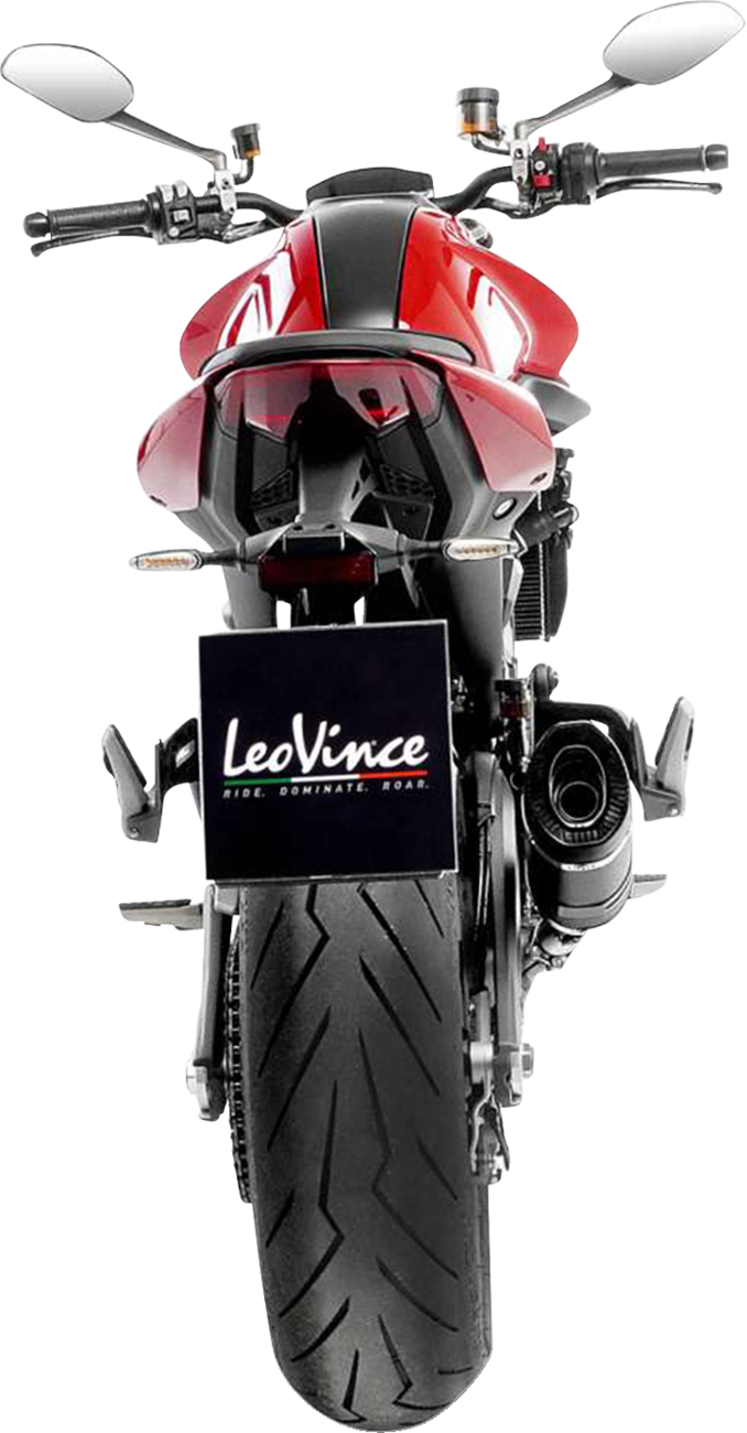 LeoVince LV Pro Slip-On Muffler