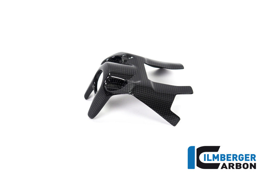 Ilmberger Carbon Ignition Switch Cover - Gloss