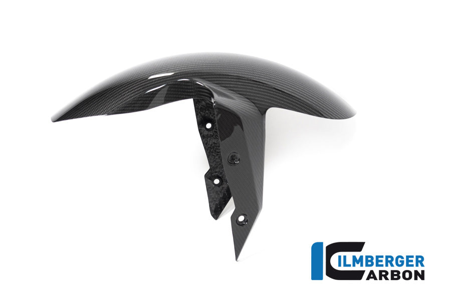 Ilmberger Carbon Front Fender BMW R 1250 R MY From 2019