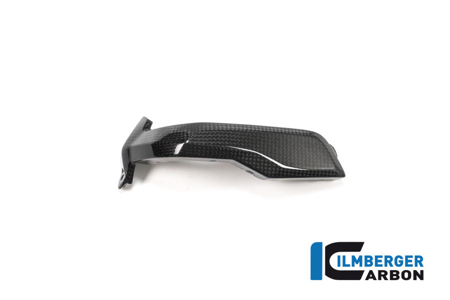 Ilmberger Carbon Spark Plug Cover Left Side Carbon - BMW R 1200 GS (LC) From 2013 To 2015