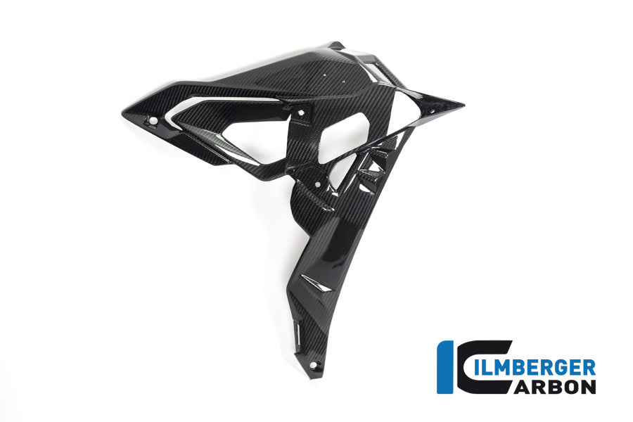 Ilmberger Carbon Radiator Cover / Badge Holder Right Side - BMW S 1000 R (Ab 2017)