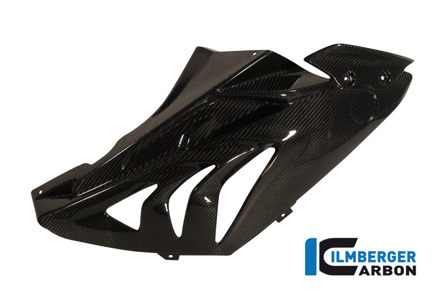 Ilmberger Carbon Fairing Side Panel Racing 2012 Carbon
