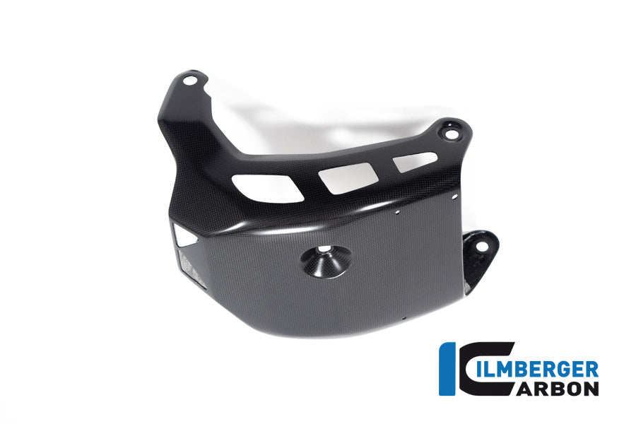 Ilmberger Carbon Motorcover Matt Surface Multistrada V4