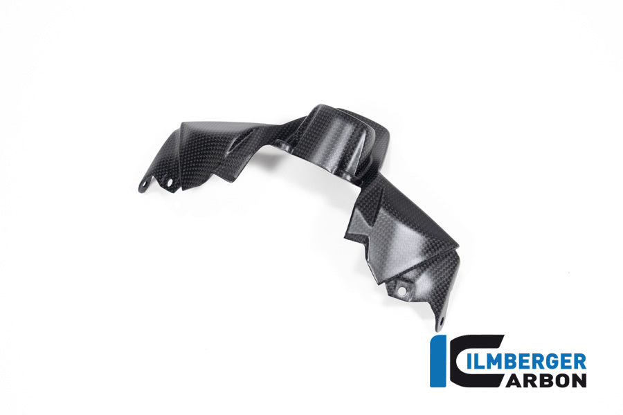 Ilmberger Carbon Ignition Switch Cover Ducati Streetfighter V2 - Matte
