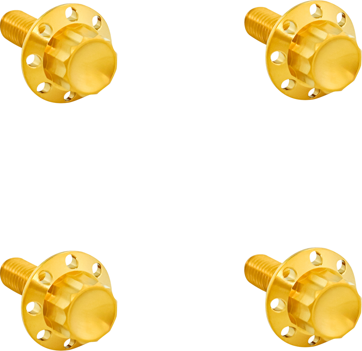 Arlen NESS Titanium 12-Point Windshield Bolts