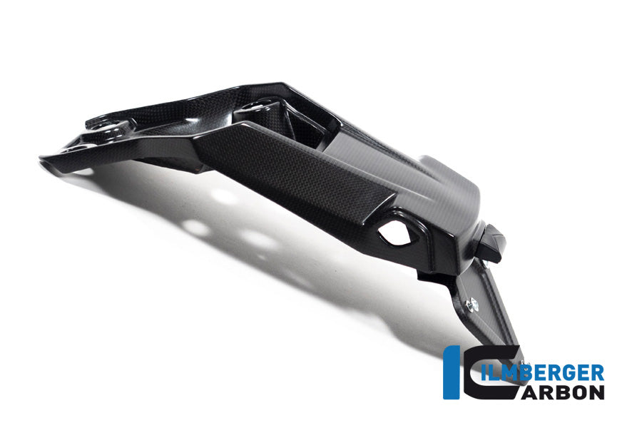 Ilmberger Carbon Numberplate Holder Matt Multistrada V4