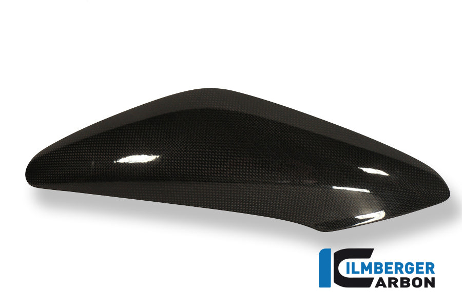 Ilmberger Carbon Side Cover Above The Radiator Left Carbon