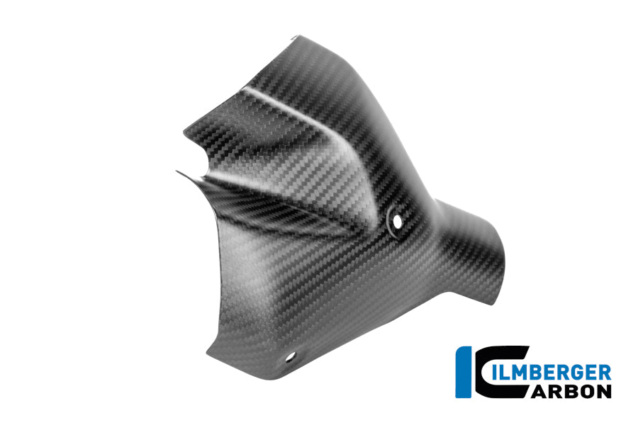 Ilmberger Carbon Exhaust Heat Shield Kit BMW R 1300 R - Matte / Twill