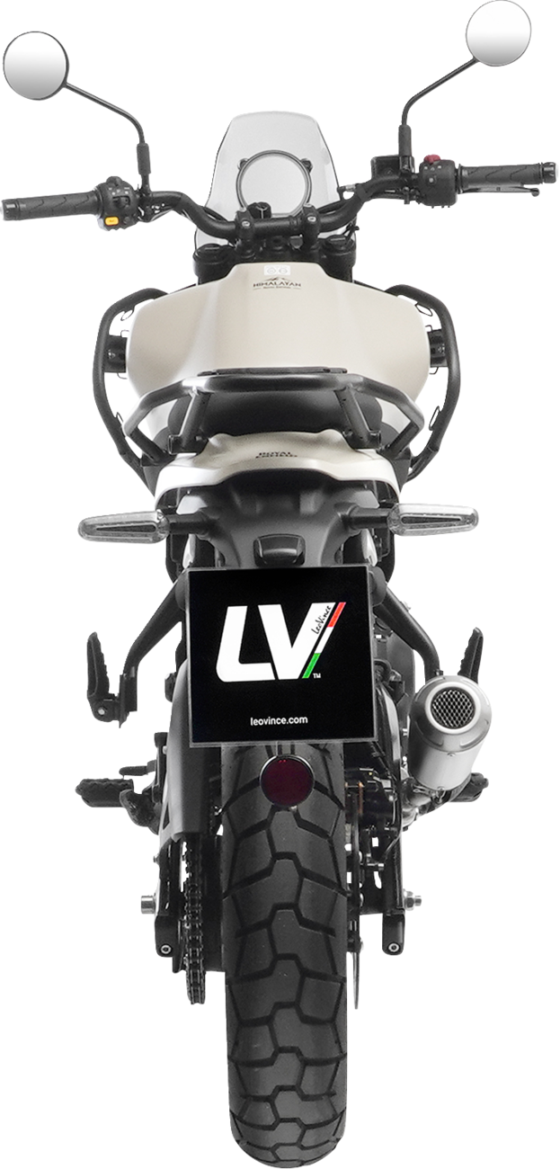 LeoVince LV-10 Slip-On Muffler - Matte / Natural