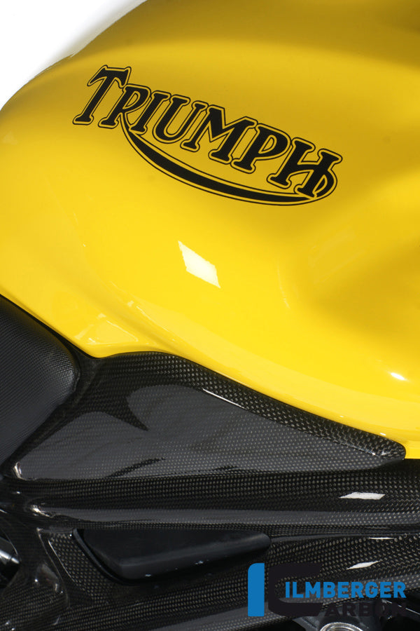 Ilmberger Carbon Tank Side Cover Right Carbon