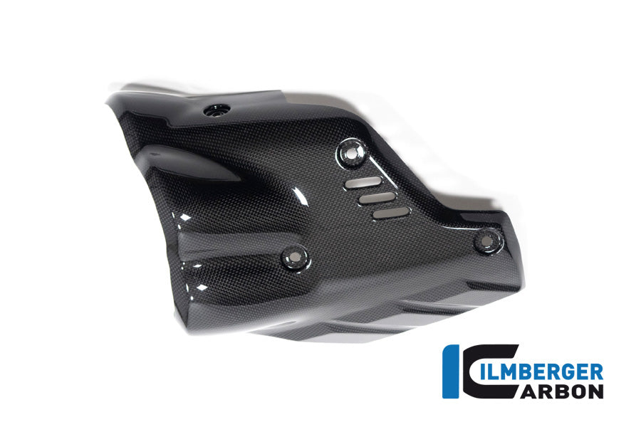 Ilmberger Carbon Exhaust Protector Muffler Ducati Diavel V4 From 2023 - Gloss