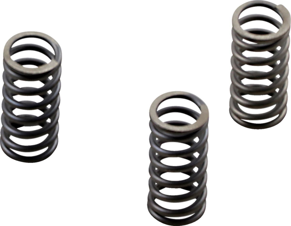 EBC Brakes Clutch Springs - M8