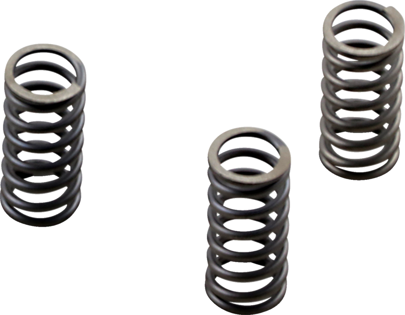 EBC Brakes Clutch Springs - M8