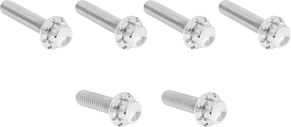 Arlen NESS Transmission Side Cover Titanium 12-Point Bolt Kit