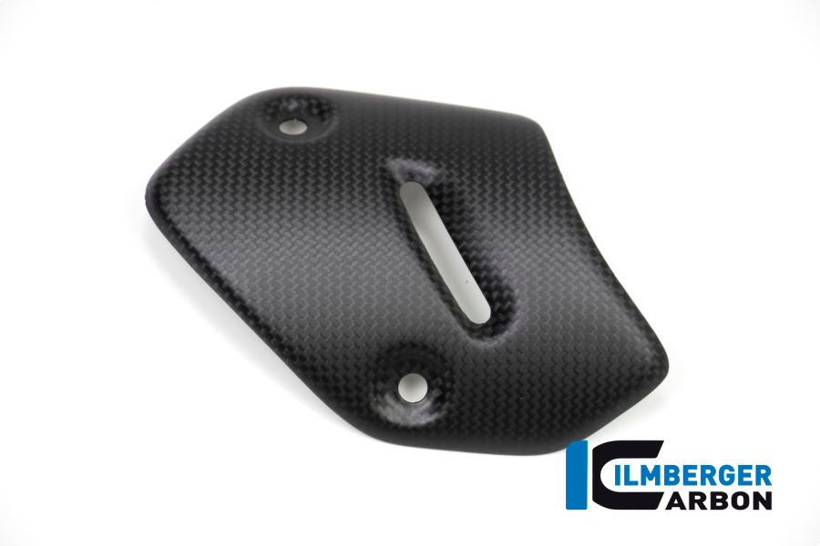 Ilmberger Carbon Protector On The Silencer Ducati XDiavel 2016