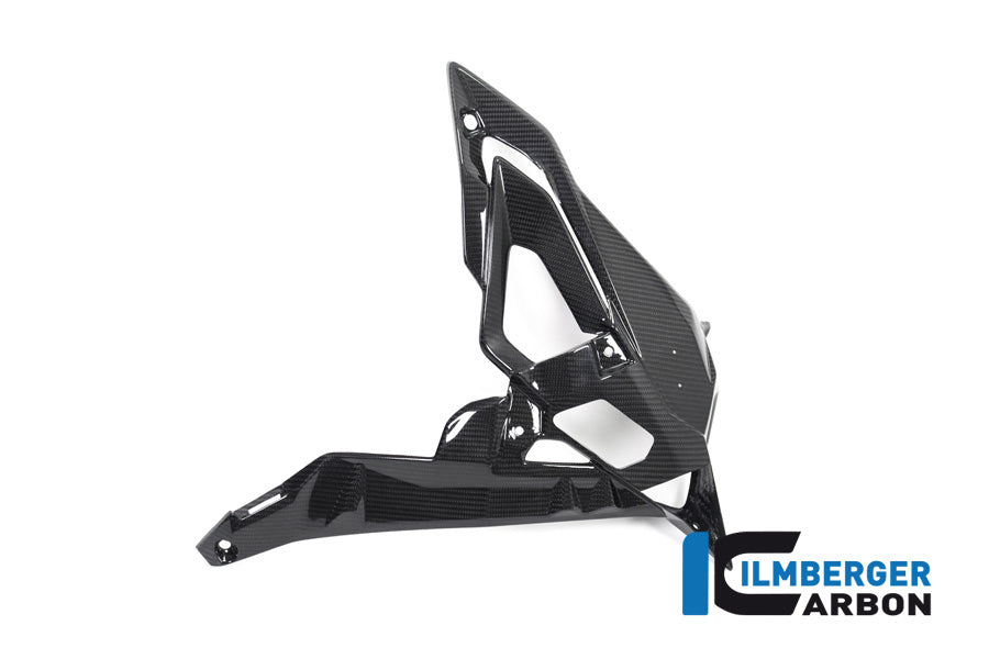 Ilmberger Carbon Radiator Cover / Badge Holder Right Side - BMW S 1000 R (Ab 2017)