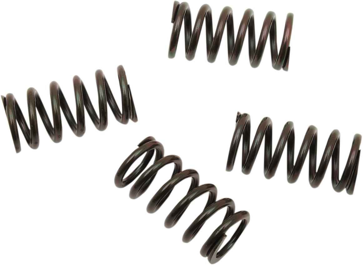 Barnett Clutch Spring Set - Honda