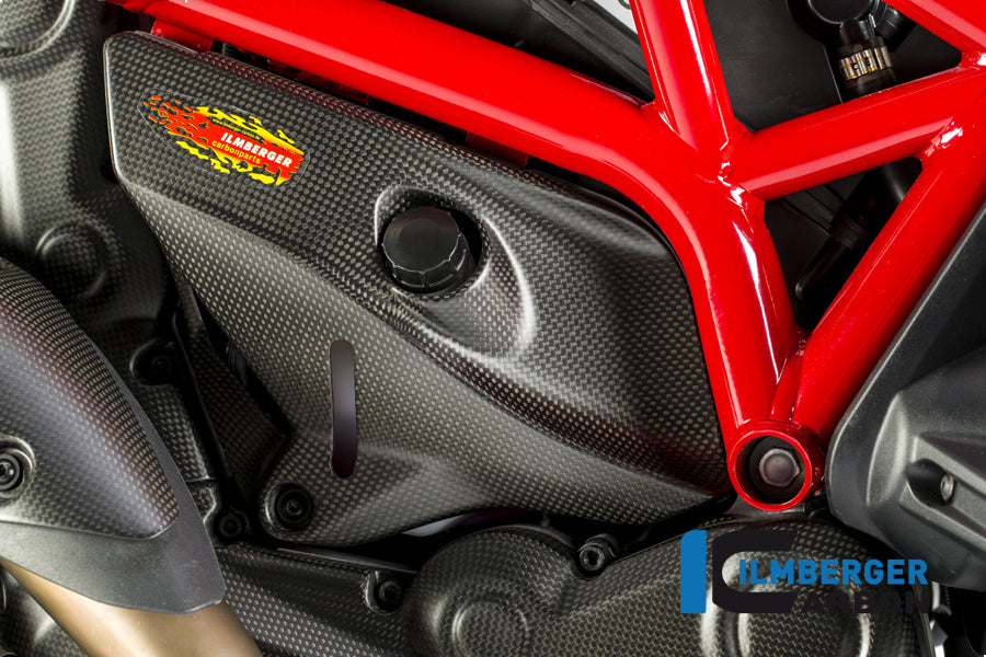 Ilmberger Carbon Cover Under The Frame Right - Matte