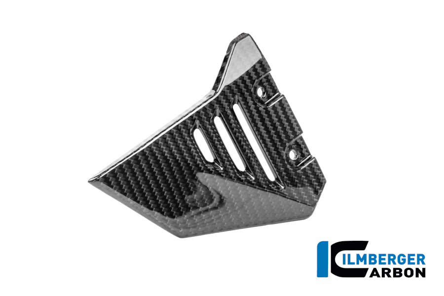 Ilmberger Carbon Subframe Cover Left BMW R 1300 GS Adventure - Gloss / Twill