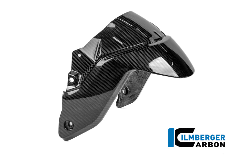 Ilmberger Carbon Front Fender BMW R 1300 R - Gloss / Twill