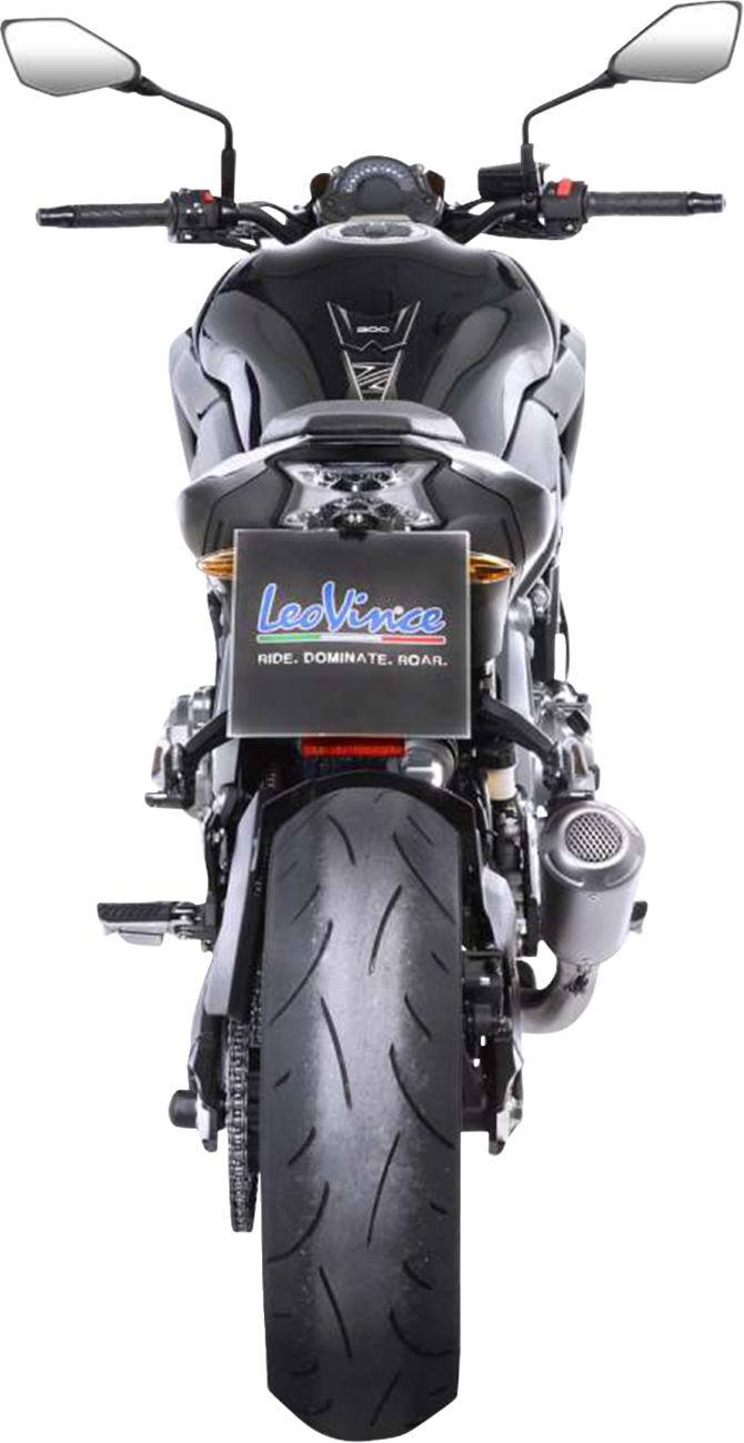 LeoVince LV-10 Slip-On Muffler - Stainless Steel - Z 900