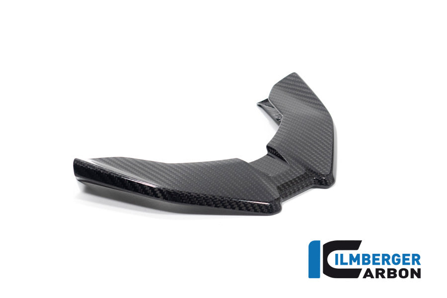 Ilmberger Carbon Front Beak BMW M 1000 XR 2024