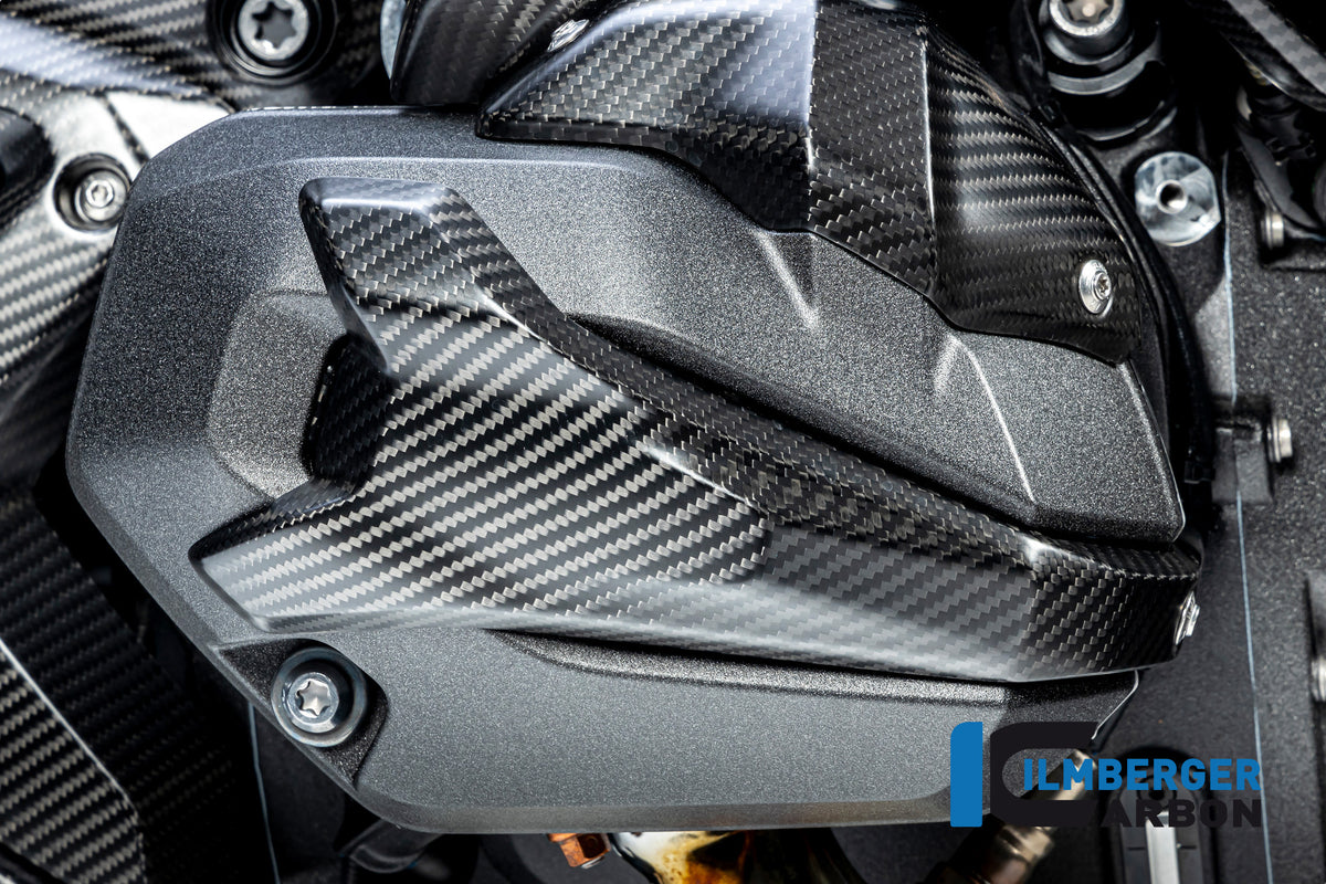 Ilmberger Carbon Spark Plug Access Cover Right BMW R 1300 GS - Matte / Twill