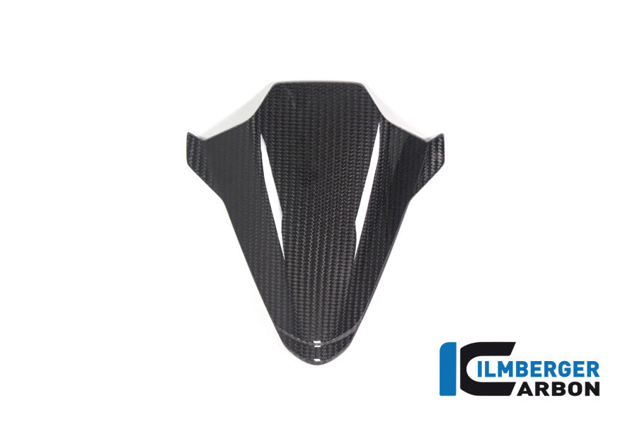 Ilmberger Carbon Instrument Cover BMW M/S 1000 RR MY From 2021