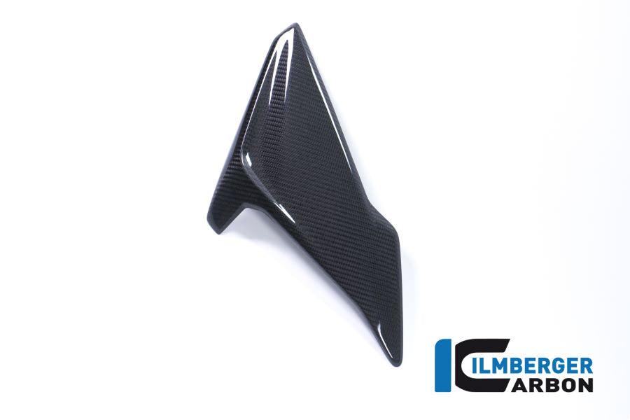 Ilmberger Carbon FAIRING SIDE PANEL (RIGHT) - BMW S 1000 RR (Ab 2017)