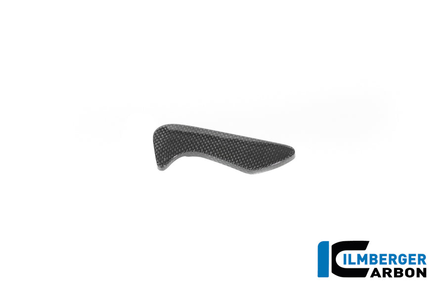 Ilmberger Carbon Toolbox Cover BMW R12 NineT - Gloss / Twill