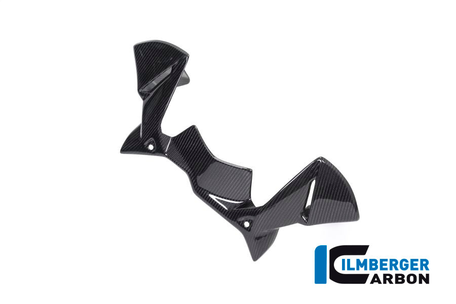 Ilmberger Carbon Windprotector On The Instruments BMW R 1250 GS