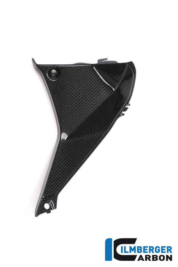 Ilmberger Carbon Abdeckung Rechts Neben Dem Cockpit BMW R1200RS'15
