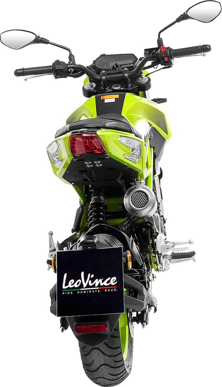 LeoVince LV-10 Slip-On Muffler