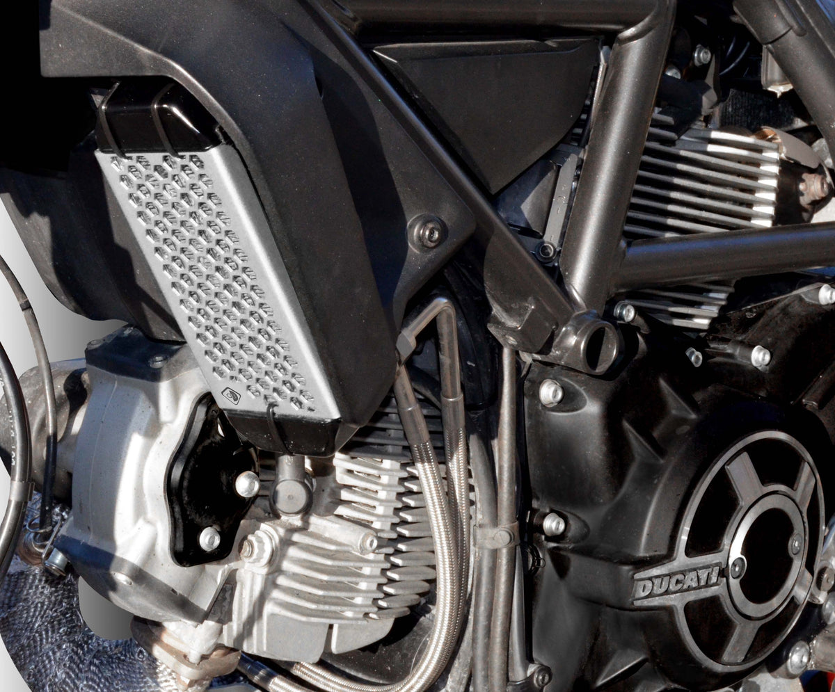 Ducabike DBK GR03 - Scrambler Oil Cooler Guard