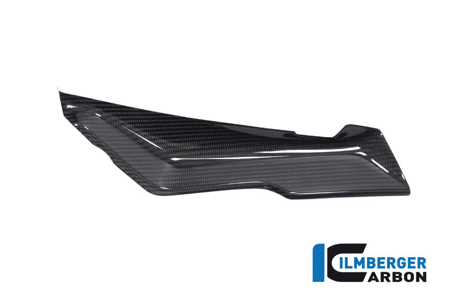 Ilmberger Carbon Cover Under The Front Fairing Left Side BMW R 1250 RS