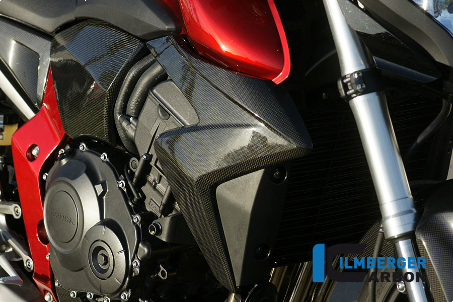 Ilmberger Carbon Water Radiator Cover Right Carbon