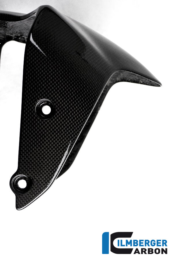 Ilmberger Carbon Front Fender Ducati Monster 1200 - Gloss
