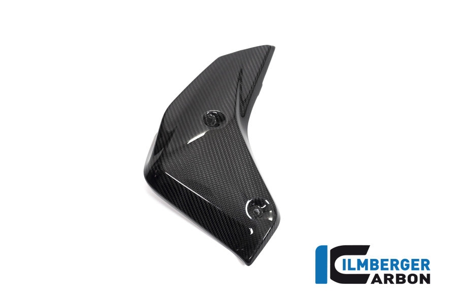 Ilmberger Carbon Watercooler Cover Left Side BMW R 1250 R