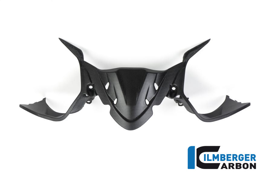 Ilmberger Carbon Instrument Panel Matt Carbon Ducati Panigale 1299 (From 2015)