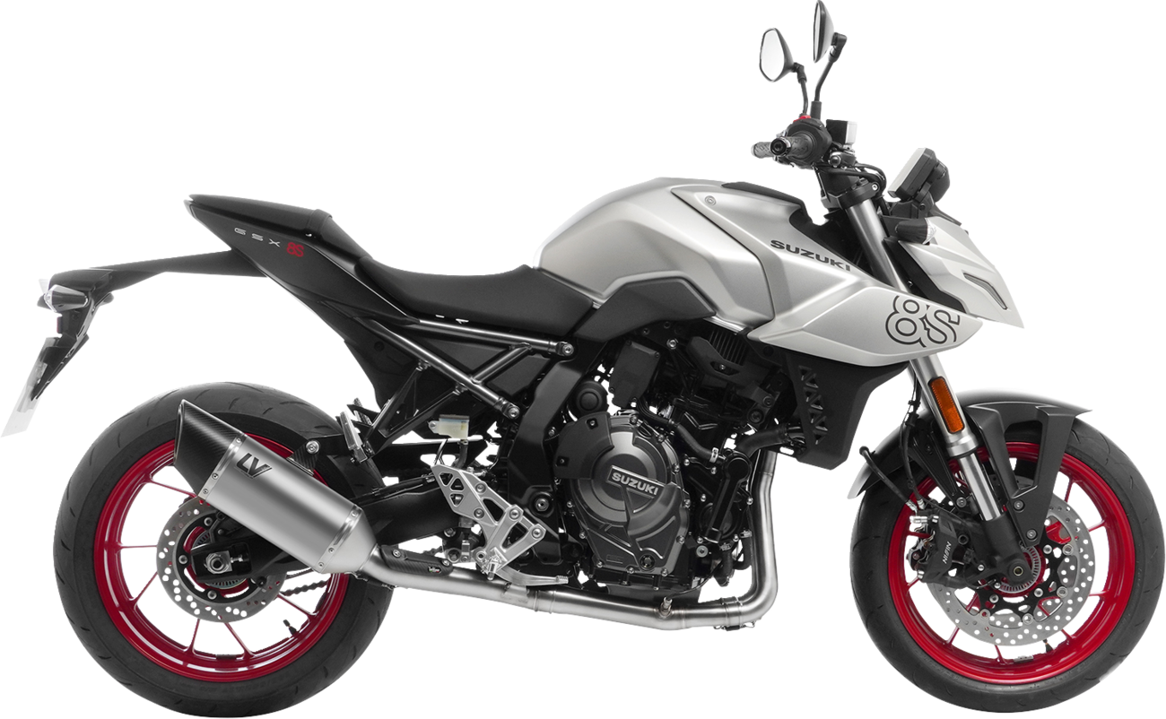 LeoVince 2-Into-1 LV-14 R Exhaust System - Natural / Titanium / 10.71 lb