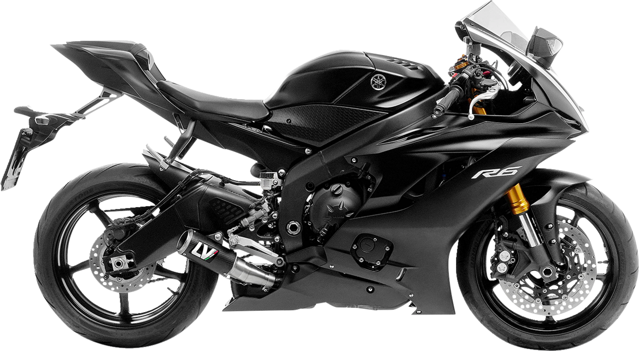 LeoVince LV Corsa Muffler - Carbon Fiber