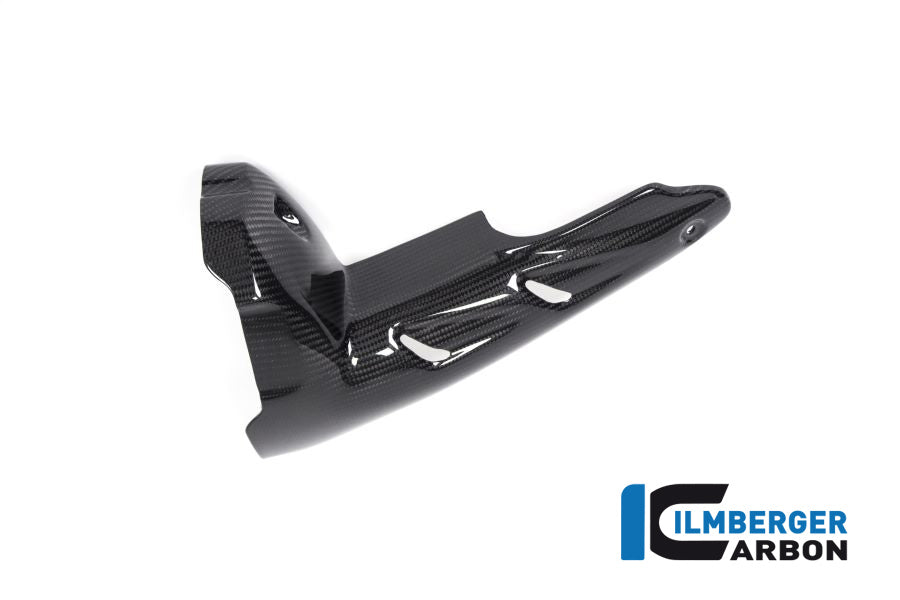 Ilmberger Carbon Silencer Protector (Front) BMW R 1250 GS From 2019