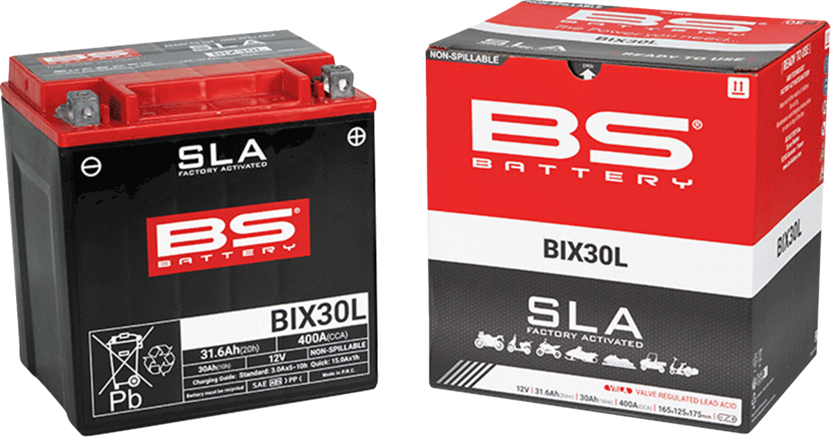 BS Battery Battery - BIX30L (YIX)