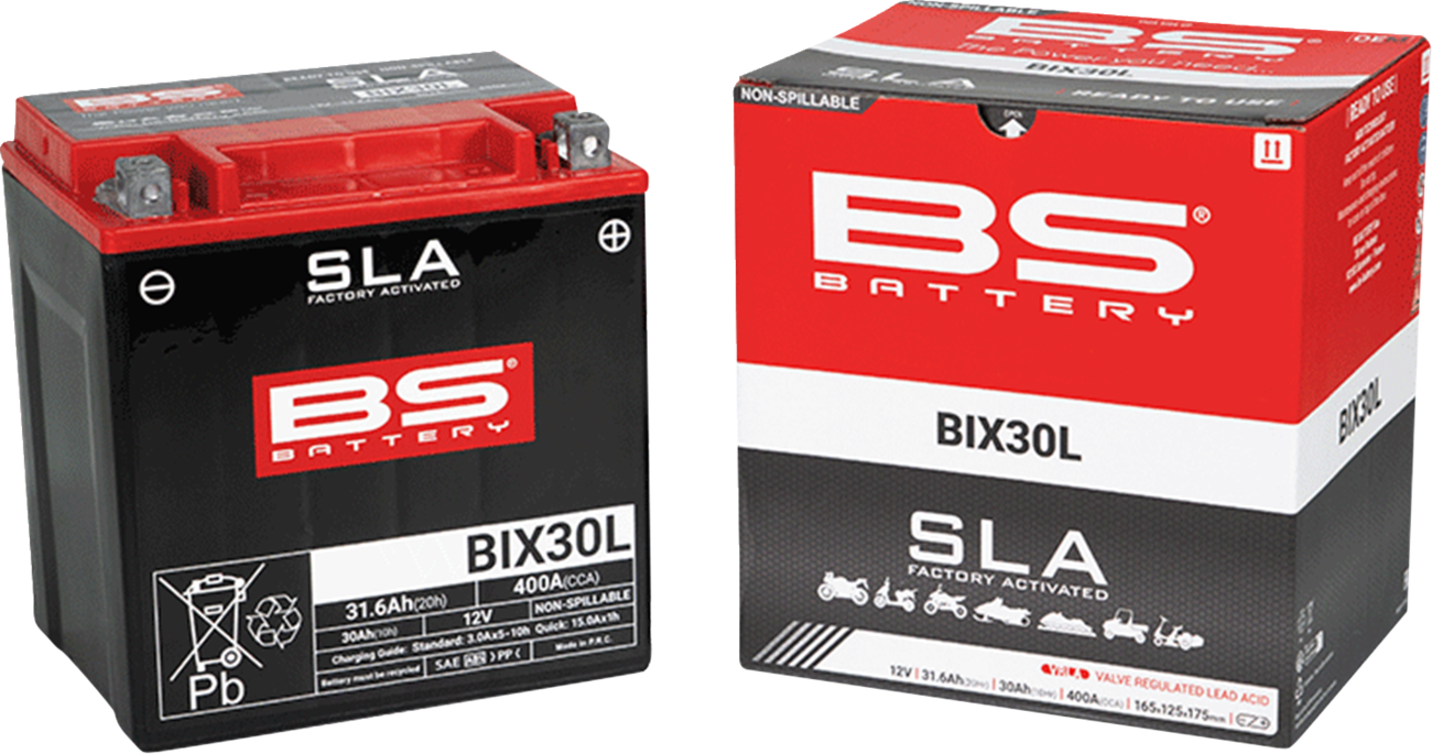 BS Battery Battery - BIX30L (YIX)