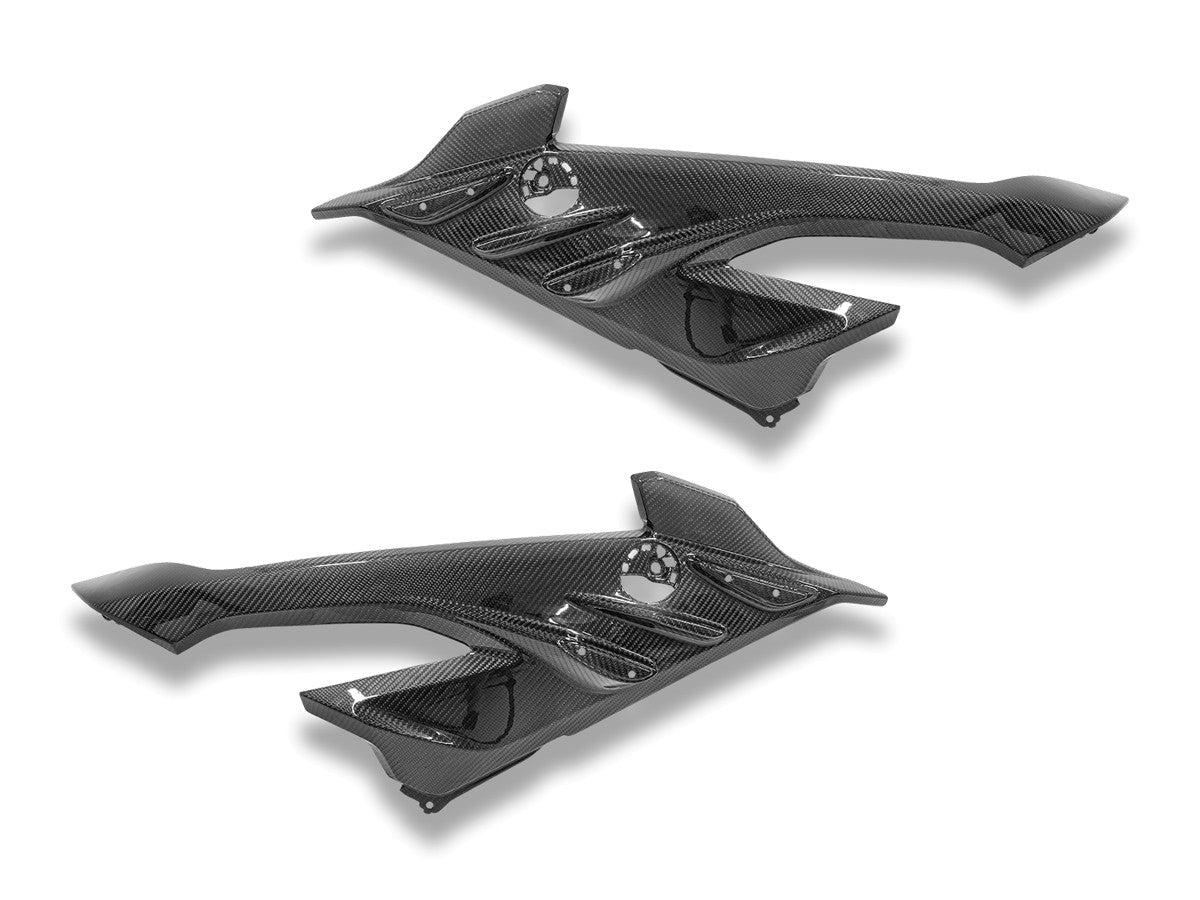CRB219L - BMW S1000RR MY23 GLOSSY CARBON SIDE PANEL INFILL