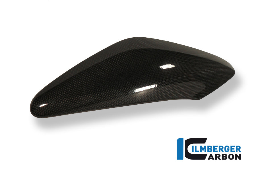 Ilmberger Carbon Side Cover Above The Radiator Left Carbon