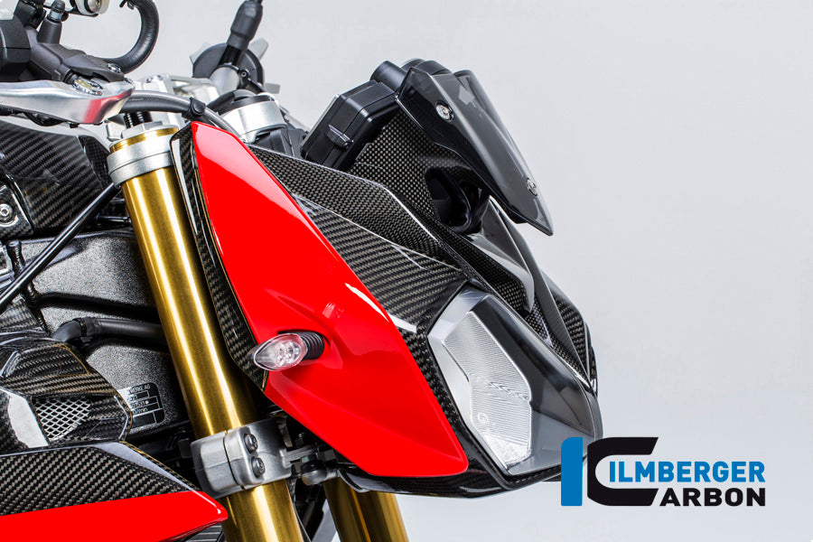 Ilmberger Carbon Side Cover On The Top Right Carbon